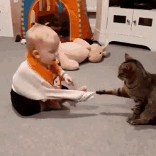 Cadi Cat GIF - Cadi Cat Baby GIFs