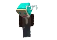 a minecraft character with a blue cube on his head and the word ry on it