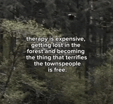 a quote about therapy is expensive getting lost in the forest and becoming the thing that terrifies the townspeople