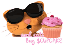 cupcake buy cake sweet treat