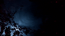 a dark blue background with a lot of red lights