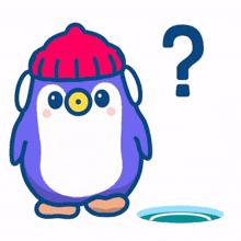 questions puffin