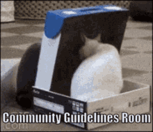 Community Guidelines GIF - Community Guidelines George GIFs