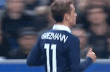 France World Cup GIF