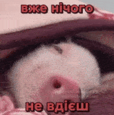 a pig is sleeping under a blanket with a caption in russian