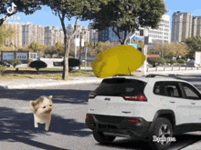 a white jeep is parked on the side of the road next to a small dog