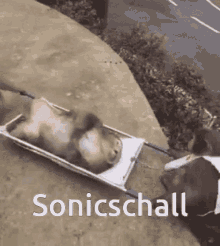 Sonicschall GIF - Sonicschall GIFs