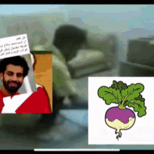 Arab Meme GIFs | Tenor