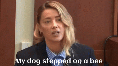 MEMES_OVERLOAD amber heard dog stepped on a bee Memes & GIFs - Imgflip