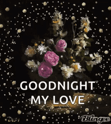 Goodnight Sparkles GIF - Goodnight Sparkles Flowers GIFs