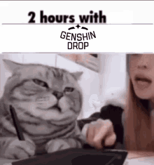Genshin Drop GIF - Genshin Drop Govno GIFs
