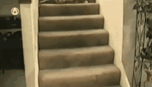 Damned To An Eternity Of Falling GIF - Cat Falling Stairs GIFs