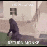 Mods Awake Gorilla GIF - Mods Awake Gorilla Reverse GIFs