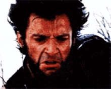 Wolverine James Howlett GIF - Wolverine James Howlett Nooo GIFs