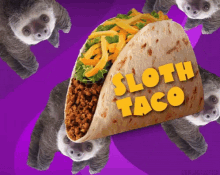 Sloth Taco GIF - Sloth Taco Wtf GIFs