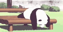 Panda Cute GIF - Panda Cute Kawaii GIFs