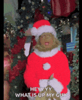 a person dressed as grinch is standing in front of a christmas tree and says " hey yy what is up my guy "