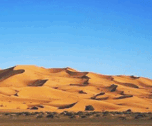 Western Sahara Sahara Occidental GIF - Western Sahara Sahara Occidental Rasd GIFs