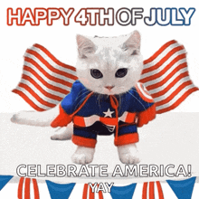 Happy4thjuly America Cat GIF - Happy4thjuly Happy America Cat GIFs