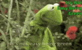 kermit the frog says it 's not easy being green in a garden
