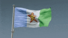 a blue white and green flag with a red star in the middle