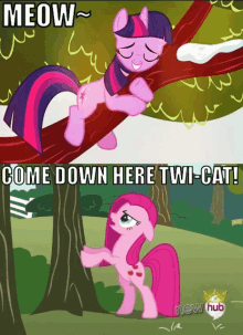 meow mlp my little pony cartoons come down here twi cat