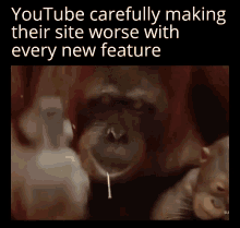 sumsar monkey shit is youtube