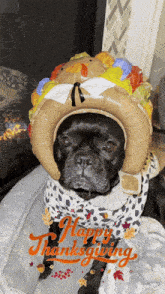 a black dog wearing a turkey hat and a happy thanksgiving greeting