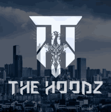 The Hoodz Server GIF - The Hoodz Server GIFs