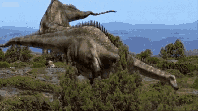 Allosaurus Turning Around GIF - Allosaurus Turning Around Dinosaur -  Discover & Share GIFs