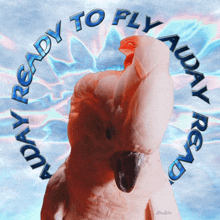 Ready To Fly Away Meme Funny Animals GIF