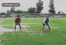 Suresh Raina Catch Practicing.Gif GIF - Suresh Raina Catch Practicing Trending Cricket GIFs