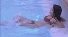Farandulario Pool GIF - Farandulario Pool Swim GIFs