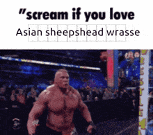 Asian Sheepshead Wrasse Scream If You Love GIF - Asian Sheepshead Wrasse Scream If You Love GIFs