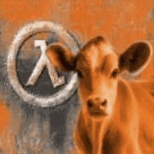 a cow is standing in front of a sign that has the letter l on it