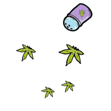 weed cosecha libre salero cannabis