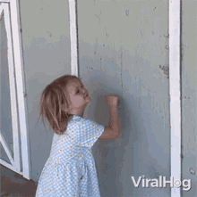 Knocking Viralhog GIF - Knocking Viralhog Knock Knock GIFs