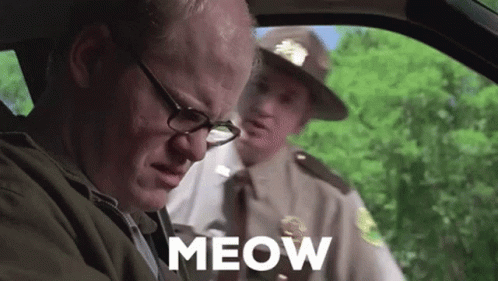 Meow Super GIF - Meow Super Troopers - Discover & Share GIFs
