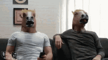 High Fives Horses GIF - High Fives Horses Look At Each Other GIFs