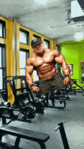 Muscle Big Muscle GIF - Muscle Big Muscle Win GIFs