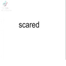 a tiktok video of a person scared of their own image .