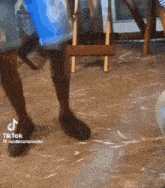 a person is standing on a wooden floor .