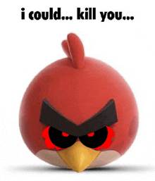 an angry bird with the words `` i could kill you '' on it