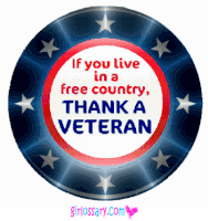 Usa Veterans Sticker - Usa Veterans Day Stickers