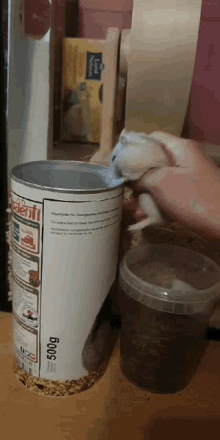 a person is feeding a hamster from a 500g tin