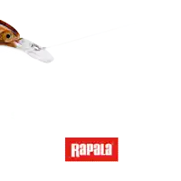 a close up of a fishing lure with the word rapala on the bottom