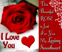 Red Rose Hearts GIF - Red Rose Hearts I Love You GIFs