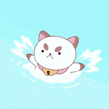 cat anime water angry splashing