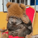 a stuffed animal wearing a furry hat is sitting on a red chair .