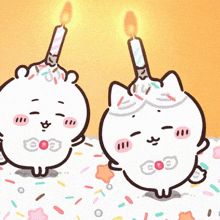two cartoon cats with candles on their heads and sprinkles
